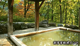 おすすめポイント1