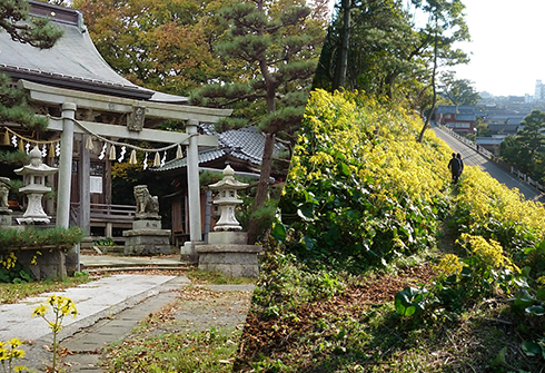 ロマンス街道の散策​