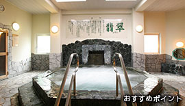 おすすめポイント1