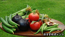 おすすめポイント1