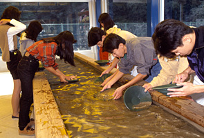 佐渡西三川ゴールドパーク