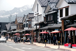 �O���X������h �q�V�ʂ�