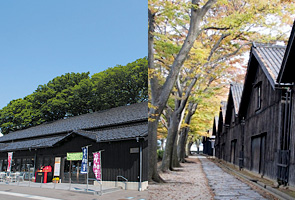 �R���q��