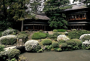 �{�Ԕ��p��