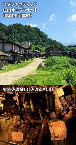 �V���E����