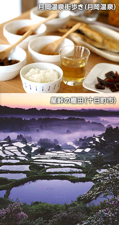 �V���E����